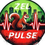 zelpulse
